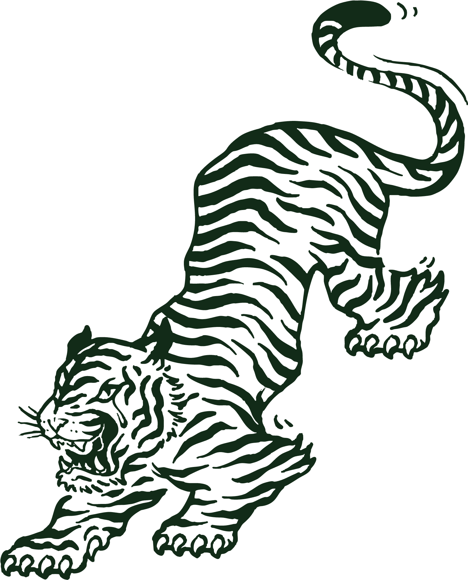 illustration of a tiger