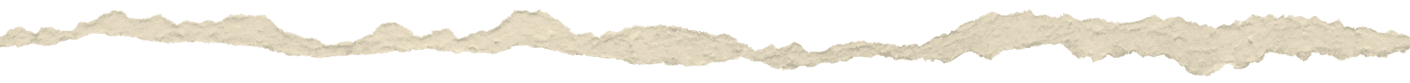 image of a ripped edge of paper